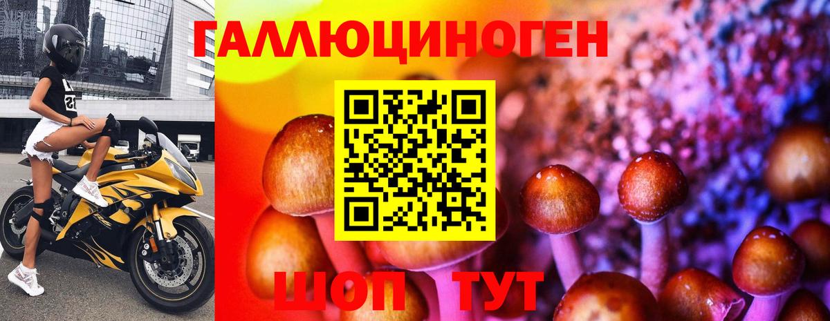 Нижневартовск  как найти закладки  Вход с VPN  Псилоцибиновые грибы Psilocybe 